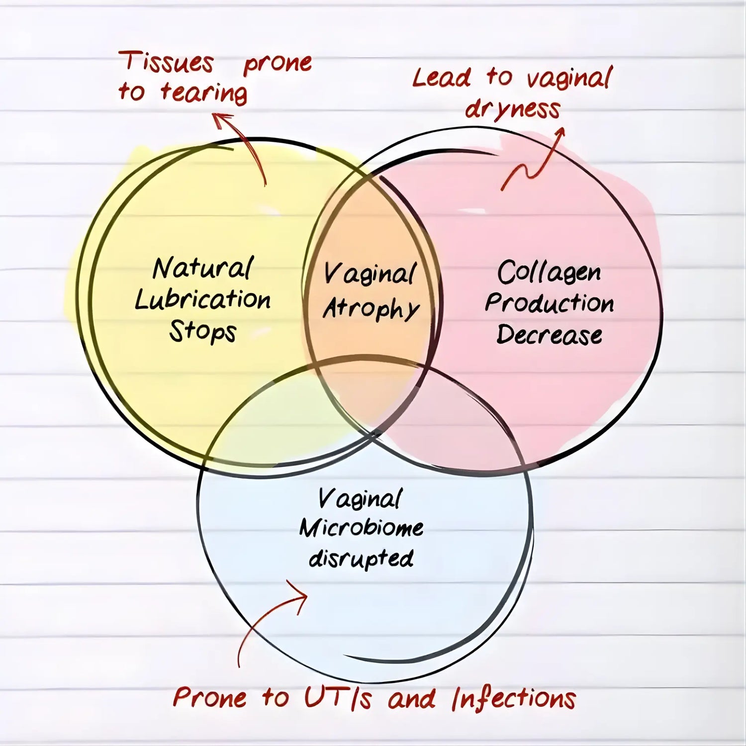 Hera Labs Intimate Flora